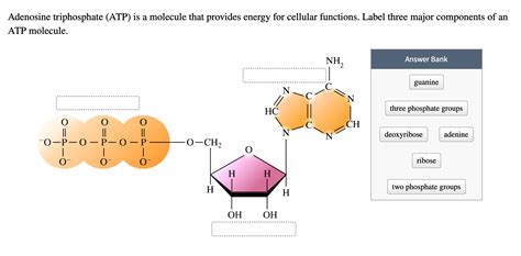 mitopoiesi chanel|Identification of an ATP.